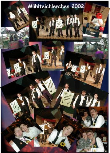 Muehlteichlerchen-Plakat