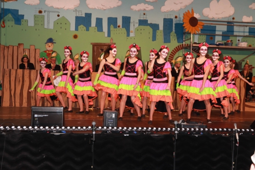 1. Kappensitzung 2025 (Manfred)